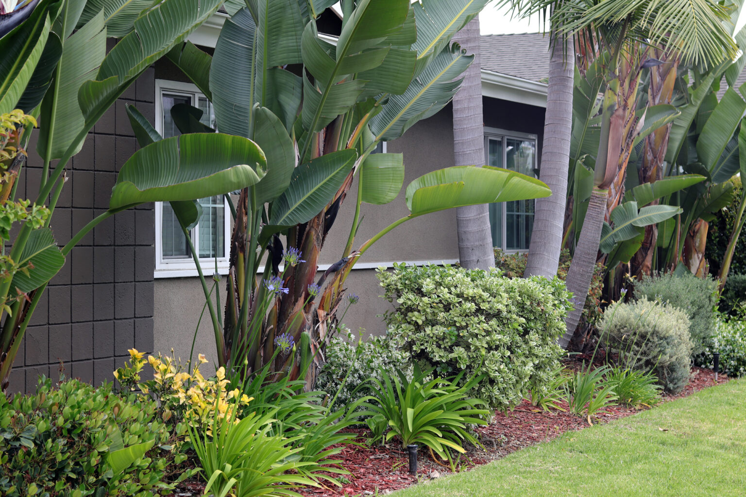 Sober living homes in huntington beach ca